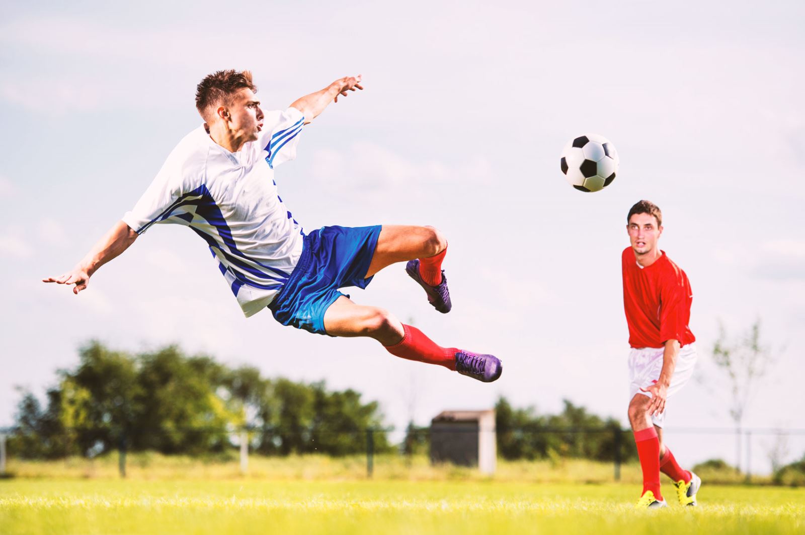 案例分析 案例分析