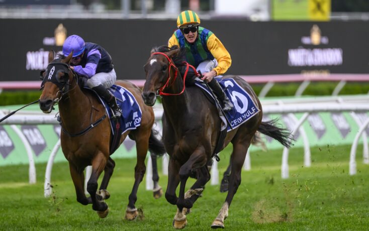 赛男单冠军 赛男单冠军