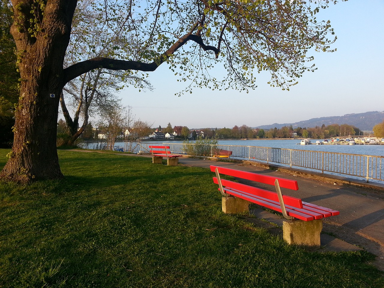 入更多活力 入更多活力