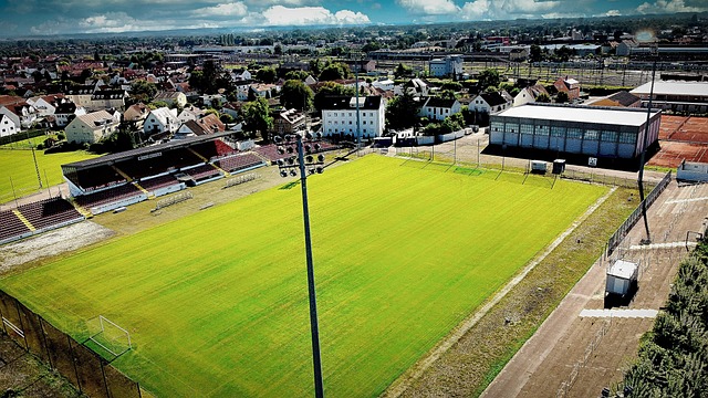 而小牛队则 而小牛队则